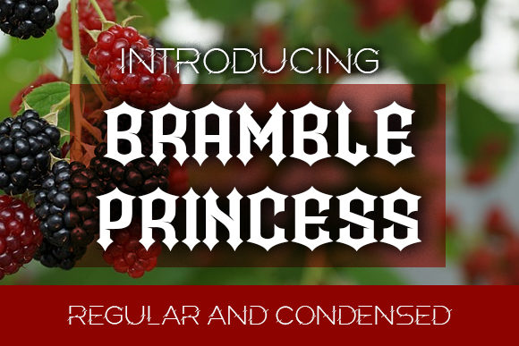 Bramble Princess: A Bold Blackletter Font for Business Branding